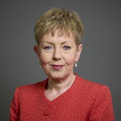 Portrait of Baroness Stowell of Beeston