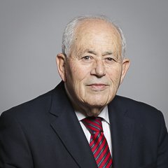 Portrait of Lord Palmer of Childs Hill