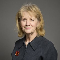 Portrait of Baroness Hughes of Stretford