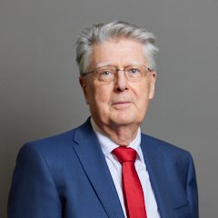 Portrait of Lord Davies of Brixton